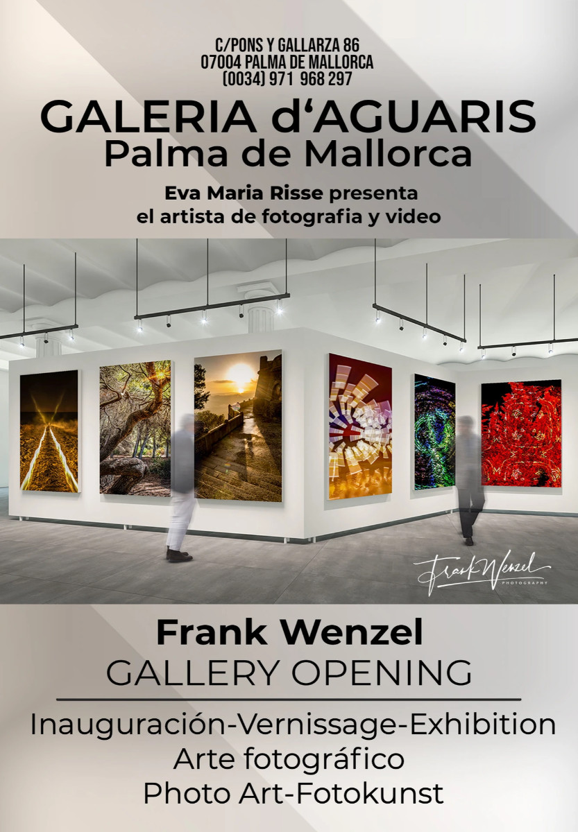 GALERIA D'AGUARIS - PALMA DE MALLORCA sur le site d’ARTactif