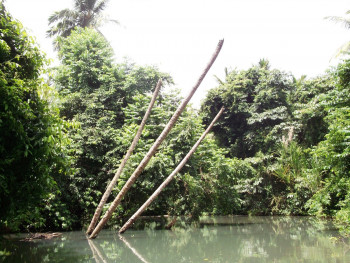 Zeitgenössisches Werk mit dem Titel « Les cocotiers sans ses cocos », Erstellt von SEIDITADENISEART