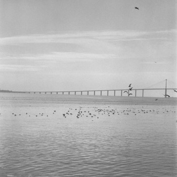 PONT DE SAINT NAZAIRE 1 Auf der ARTactif-Website