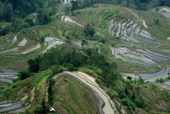 Zeitgenössisches Werk mit dem Titel « CULTURES EN TERRASSE RÉGION  DE YUANYANG », Erstellt von CHRISTOPHE FABLET