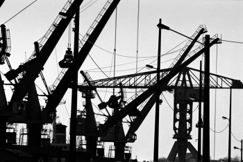 LES GRUES Auf der ARTactif-Website