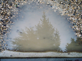 Zeitgenössisches Werk mit dem Titel « reflet 3 », Erstellt von SYLVIE RABATEL