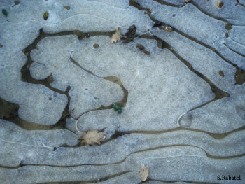 Zeitgenössisches Werk mit dem Titel « glace », Erstellt von SYLVIE RABATEL