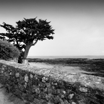 PLAGE DES CHEVRETTES NOIRMOUTIER Auf der ARTactif-Website