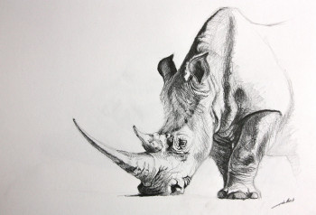 Zeitgenössisches Werk mit dem Titel « Dessin rhinoceros », Erstellt von DE PORET JB