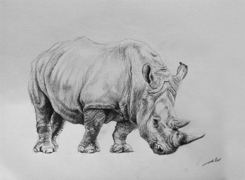 Zeitgenössisches Werk mit dem Titel « Dessin de rhinoceros 1 », Erstellt von DE PORET JB