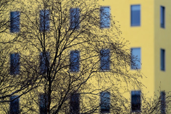 ARBRE SUR FOND JAUNE Auf der ARTactif-Website