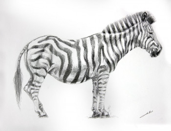 Zeitgenössisches Werk mit dem Titel « Dessin de zebre », Erstellt von DE PORET JB