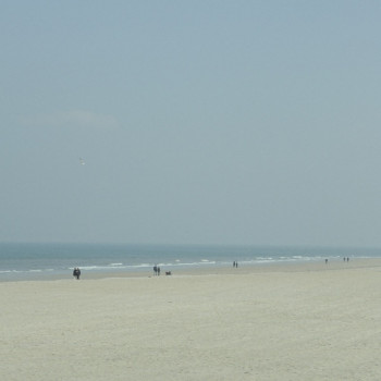 PROMENADE SUR LA PLAGE 2(trouville) Auf der ARTactif-Website