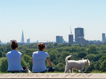 Primrose hill 01 Auf der ARTactif-Website