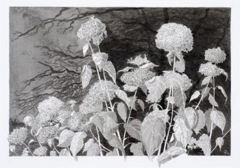 Zeitgenössisches Werk mit dem Titel « Hortensias-2 », Erstellt von JYCé