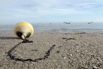 PLAGE DE LA CLAIRE Auf der ARTactif-Website