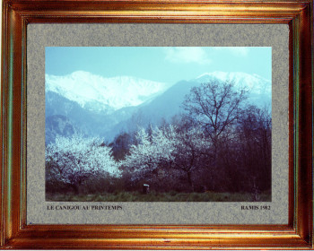 Catalogne nord, le Canigou au printemps 1982 Auf der ARTactif-Website