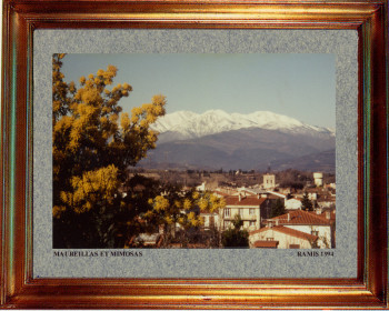 Zeitgenössisches Werk mit dem Titel « Catalogne nord, Maureillas et mimosas 1994 », Erstellt von EMILE RAMIS