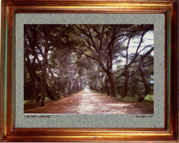 France, chemin arboré 1987 Auf der ARTactif-Website