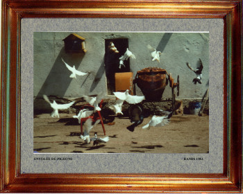 1983 Envol de pigeons Auf der ARTactif-Website