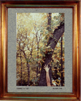 1984  Arbre la vie Auf der ARTactif-Website