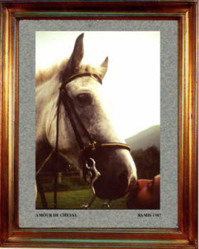 1987 Un amour de cheval Auf der ARTactif-Website