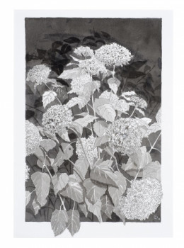 Zeitgenössisches Werk mit dem Titel « Hortensias-1 », Erstellt von JYCé