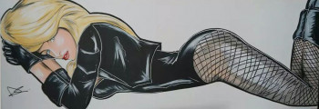 Zeitgenössisches Werk mit dem Titel « black canary  1 », Erstellt von DC ARTWORK