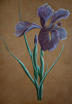 Iris 2011 Auf der ARTactif-Website