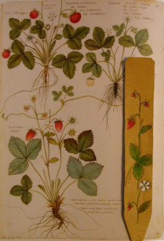 Zeitgenössisches Werk mit dem Titel « marque page fraise des bois », Erstellt von LAURENT SERRE