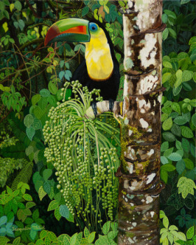 Zeitgenössisches Werk mit dem Titel « Toucan dans la jungle du Costa Rica », Erstellt von JACQUELINE VERNAY-MILLOT