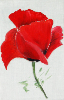 coquelicot Auf der ARTactif-Website