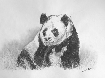 Zeitgenössisches Werk mit dem Titel « Panda-Pando », Erstellt von DE PORET JB