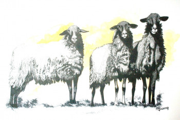 Zeitgenössisches Werk mit dem Titel « MOUTONS NOIRS », Erstellt von SANDOR SHOMI