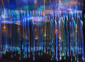 Zeitgenössisches Werk mit dem Titel « Jardin du Musée de Quai Branly - encadré », Erstellt von SARCIE