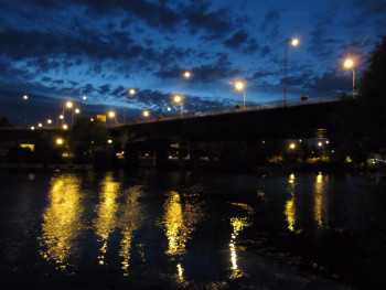 Zeitgenössisches Werk mit dem Titel « Bords de Seine nocturne - Rueil - dibond », Erstellt von SARCIE