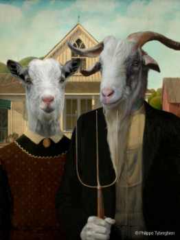 Zeitgenössisches Werk mit dem Titel « AMERICAN GOAT IC », Erstellt von PHILIPPE TYBERGHIEN