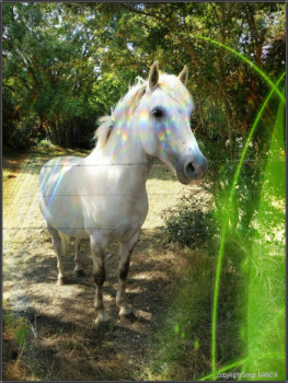 Cheval fantastique 1 Auf der ARTactif-Website