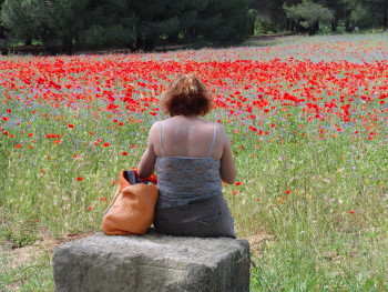 Les coquelicots Auf der ARTactif-Website