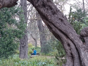 Jardin des plantes extraordinaire Auf der ARTactif-Website