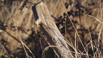 Nature morte Auf der ARTactif-Website