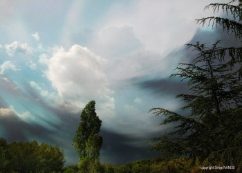 Forest sky Auf der ARTactif-Website