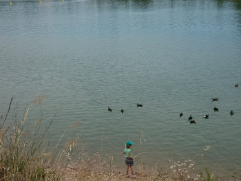 La pêche aux canards Auf der ARTactif-Website