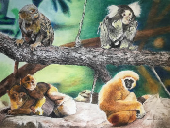 Zeitgenössisches Werk mit dem Titel « Singes Ouistiti », Erstellt von JACQUES TAFFOREAU