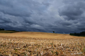 Zeitgenössisches Werk mit dem Titel « AVANT L'ORAGE », Erstellt von JEAN-MARC PHILIPPE