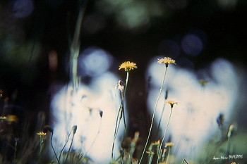 Zeitgenössisches Werk mit dem Titel « FANTÔMES », Erstellt von JEAN-MARC PHILIPPE