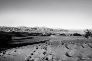 Zeitgenössisches Werk mit dem Titel « LA VALLÉE PERDUE », Erstellt von JEAN-MARC PHILIPPE