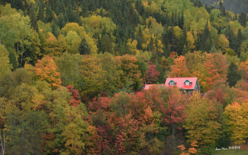 Zeitgenössisches Werk mit dem Titel « LA MAISON DANS LES ARBRES », Erstellt von JEAN-MARC PHILIPPE