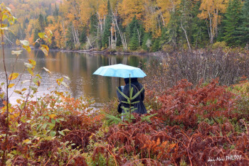 Zeitgenössisches Werk mit dem Titel « LE PARAPLUIE BLEU », Erstellt von JEAN-MARC PHILIPPE