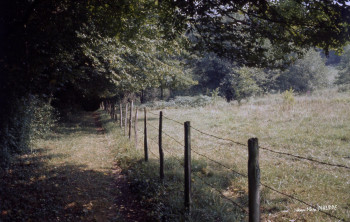 Zeitgenössisches Werk mit dem Titel « LE CHEMIN VERS LA RIVIÈRE  », Erstellt von JEAN-MARC PHILIPPE