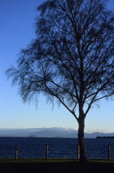 Zeitgenössisches Werk mit dem Titel « Bleu », Erstellt von FLOPHOTOGRAPHE