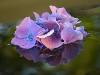 Zeitgenössisches Werk mit dem Titel « Nature d'un reflet 2 », Erstellt von LAMOTTE RéGIS