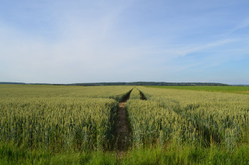 Route de l'été Auf der ARTactif-Website