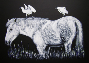 Zeitgenössisches Werk mit dem Titel « Le cheval et les oiseaux », Erstellt von BRUNO LEMASSON